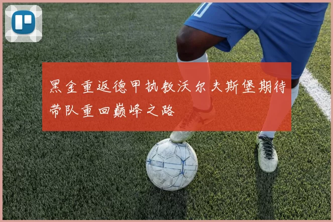 黑金重返德甲执教沃尔夫斯堡期待带队重回巅峰之路